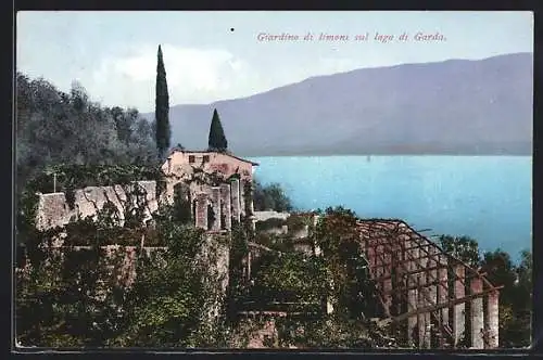 AK Garda /Lago di Garda, Giardino di limoni