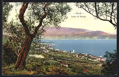 AK Salò /Lago di Garda, Panorama