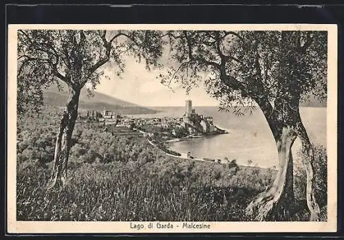 AK Malcesine /Lago di Garda, Panorama mit Bäumen