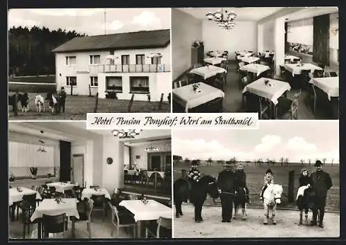 AK Werl am Stadtwald, Hotel-Pension Ponyhof, Wickederstr. 98