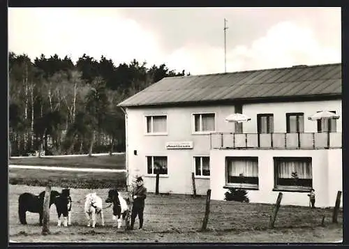 AK Werl am Stadtwald, Hotel-Pension Monyhof, Wickeder Strasse 98