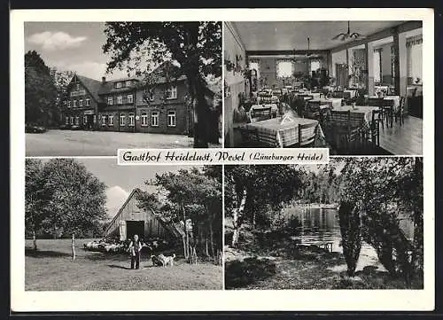 AK Wesel / Nordheide, Gasthof Heidelust, Äusseres und Inneres, Inh.Herbert Foth