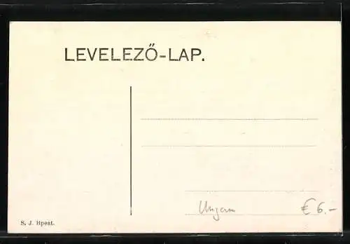 AK Budapest, Dampfer vor dem Blocksberg