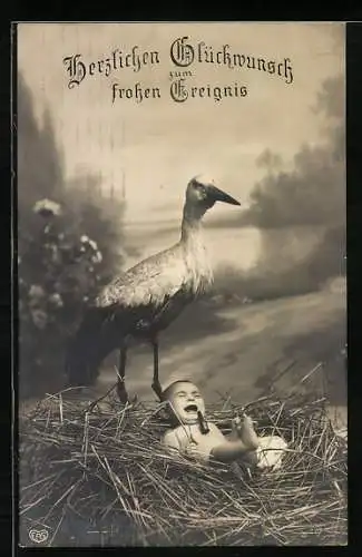 Foto-AK EAS Nr. 1007: Ein schreiendes Kind im Storchennest