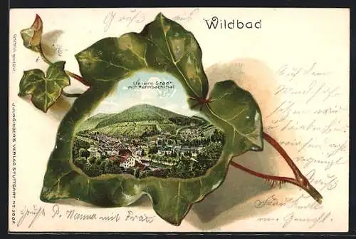 Passepartout-Lithographie Wildbad / Württ., Untere Stadt mit Rennbachthal, Efeu-Ranke