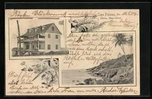 AK Cape Palmas, Haus mit Flagge, Felsen am Meer