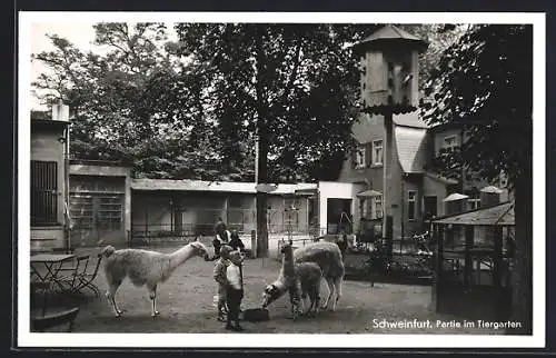 AK Schweinfurt, Partie im Tiergarten