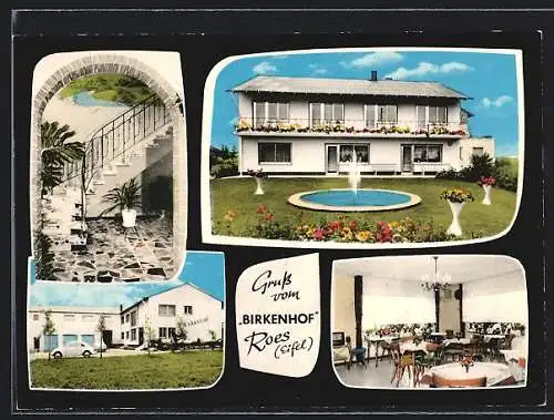 AK Roes /Eifel, Hotel-Pension Birkenhof mit Garten und Fontaine