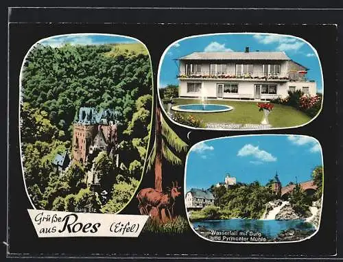 AK Roes /Eifel, Privatpension Hotel Birkenhof, Wasserfall mit Burg und Pyrmonter Mühle, Burg Elz