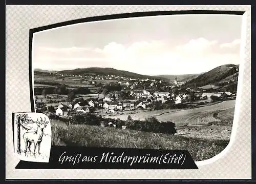 AK Niederprüm /Eifel, Ortsansicht mit Kirche