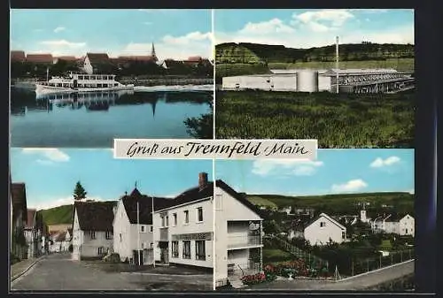 AK Trennfeld, Mainpartie mit Passagierdamper, Fabrik König & Bauer, Ortspartie