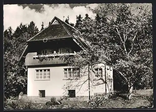 AK Zavelstein /Calw, Pension Landhaus Bee, Röthenbachstrasse 82