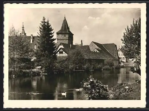 AK Creglingen, Partie an der Tauber