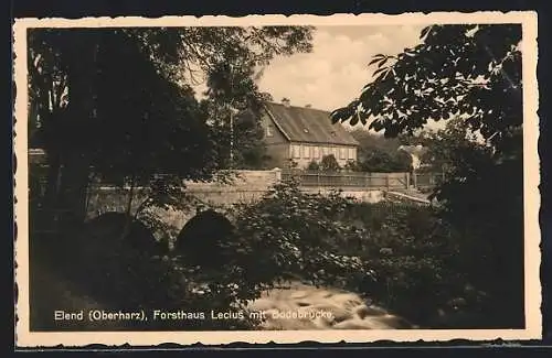 AK Elend / Oberharz, Forsthaus Lecius mit Bodebrücke