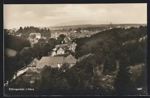 AK Elbingerode, Ortspanorama