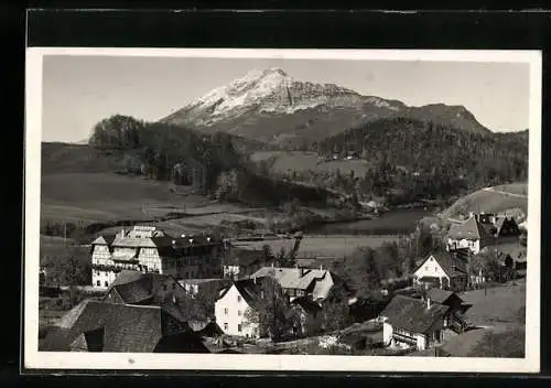 AK Wienerbruck a. d. Mariazellerbahn, Teilansicht