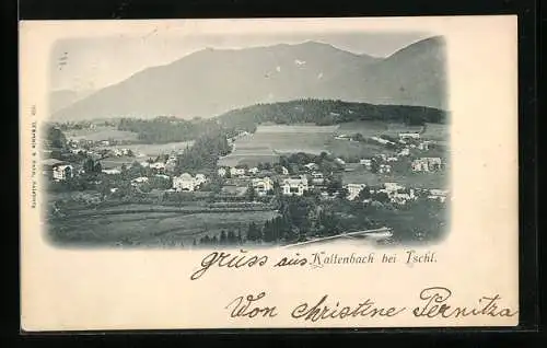 AK Kaltenbach b. Ischl, Gesamtansicht