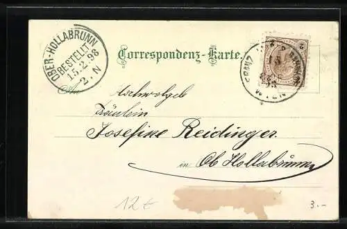 Lithographie Wien I, Stephans-Dom, Graben