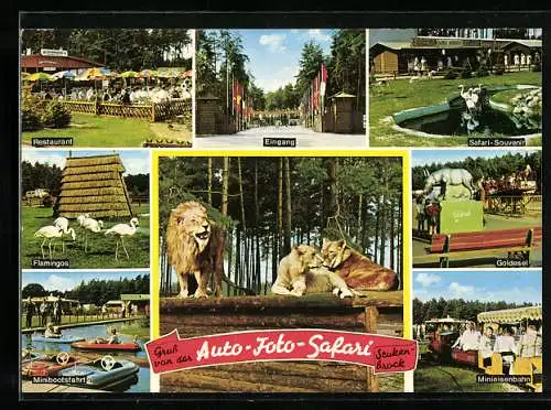 AK Stukenbrock in der Senne, Auto-Foto-Safaripark mit Restaurant, Minieisenbahn und Goldesel