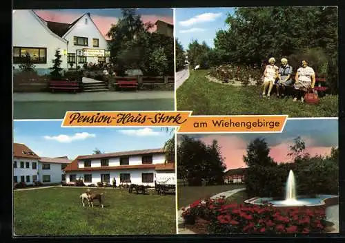 AK Pr. Oldendorf, Hotel-Pension Haus Stork am Wiehengebirge