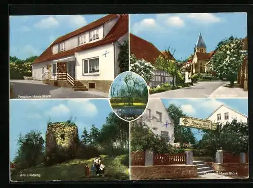 AK Bad Holzhausen, Pension Haus Stork am Wiehengebirge