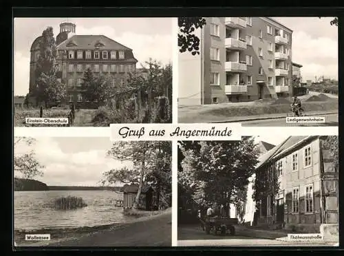 AK Angermünde, Einstein-Oberschule, Ledigenwohnheim, Thälmannstrasse, Wolletzsee, Pferdefuhrwerk