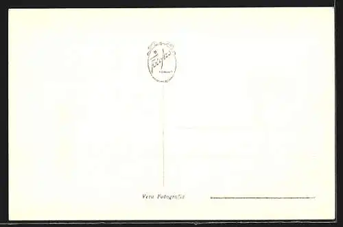 AK Genova, Piazza de Ferrari, Strassenbahn