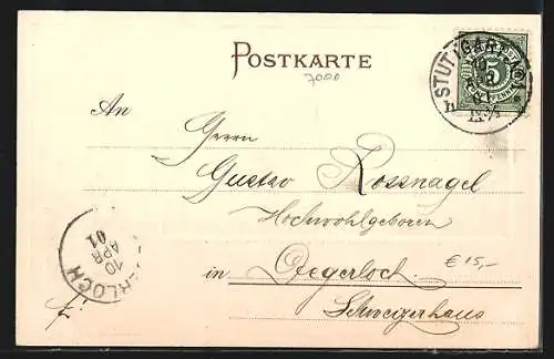 Passepartout-Lithographie Stuttgart, das alte Schloss, Kaninchen im Schnee