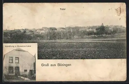 AK Bilzingen, Handlung von Susanne Laux, Totalansicht