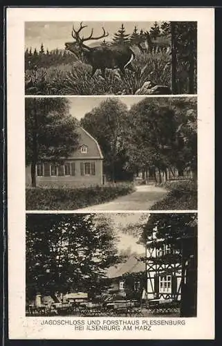 AK Ilsenburg, Jagdschloss und Forsthaus Plessenburg