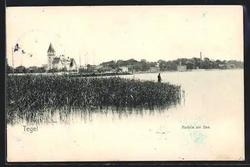 AK Berlin-Tegel, Parthie am See