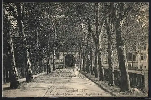 AK Burgdorf i. H., Landratsamt ehemaliges Herzogliches Jagdschloss