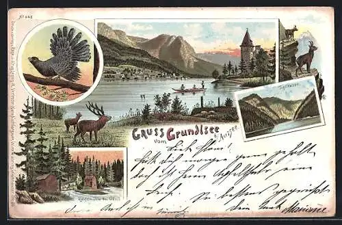Lithographie Grundlsee b. Aussee, Toplitzsee, Ranftmühle bei Gössl, Auerhahn, Gämsen und Dammwild