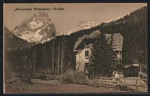 AK Hinterstoder /Ob.-Oest., Der Gasthof Johannishof gegen die Berge