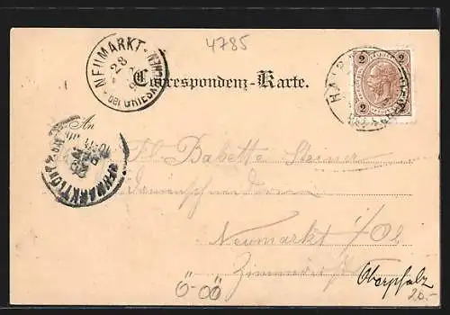 AK Haibach /Ob.-Oesterreich, Gasthof Mauth mit Umgebung, Saffra Matica / Portrait