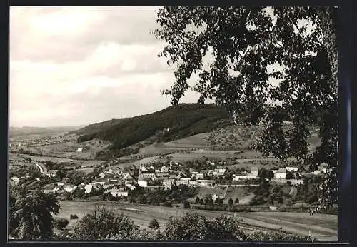 AK Holsthum /Bitburg, Gesamtansicht aus der Ferne