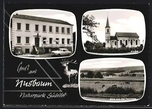 AK Nusbaum /Naturpark Südeifel, Gasthof und Pension Burelbach, die Kirche, weidende Kühe