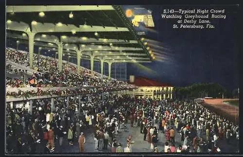AK St. Petersburg, FL, Typical Night Crowd watching Greyhound Racing at Derby Lane
