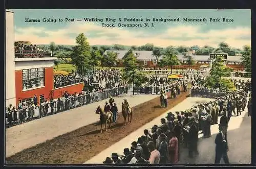 AK Oceanport, N. J., Horses going to Post, Walking Ring & Paddock in Background