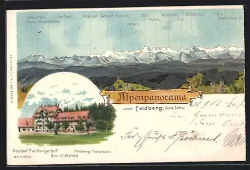 Künstler-AK Feldberg / Schwarzwald, Gasthof Feldbergerhof und Alpenpanorama