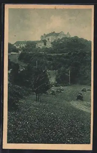 AK Kapfenburg, Blick hoch zum Schloss