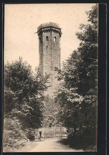 AK Heidelberg, Der Königstuhl