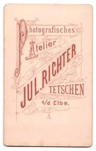 Fotografie Jul. Richter, Tetschen /Elbe, Bürgerlicher mit Vollbart, Brille und Fliege