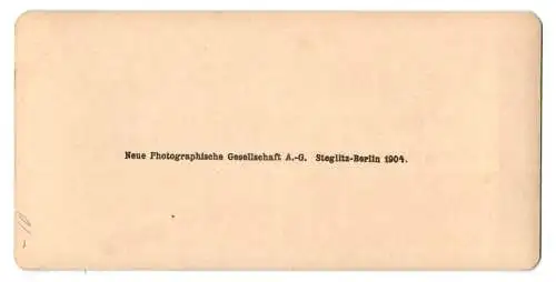 Stereo-Fotografie NPG, Berlin, Ansicht Swinemünde, Kriegsschiff und Dampfer der Manöver-Flotte am Zollschuppen II.