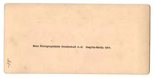 Stereo-Fotografie NPG, Berlin, Ansicht Stettin, Vulkanwerft, Schnelldampfer Kaiser Wilhelm der Grosse, Schiffbauer