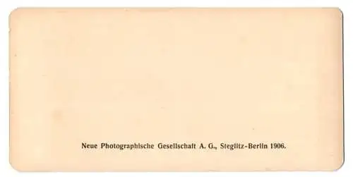 Stereo-Fotografie NPG, Berlin, Ansicht Gand, La maison dite Tereken