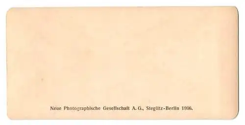 Stereo-Fotografie NPG, Berlin, Ansicht Gand, Facade de St. Bavon, Strassenbahn