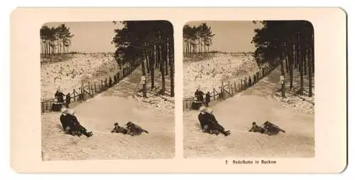 Stereo-Fotografie NPG, Berlin, Ansicht Buckow, Rodelbahn in Buckow, Kinder fallen vom Schlitten