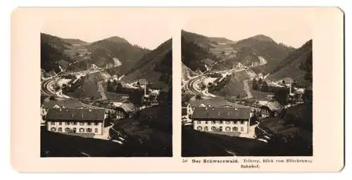 Stereo-Fotografie NPG, Berlin, Ansicht Triberg, Blick vom Ritschenweg nach dem Ort und dem Bahnhof