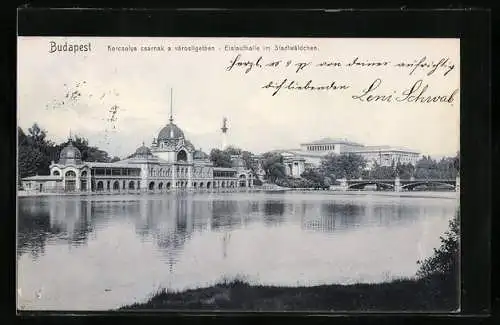 AK Budapest, Eislaufhalle im Stadtwäldchen